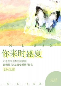 你来时盛夏